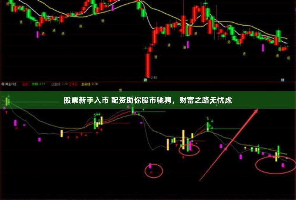 股票新手入市 配资助你股市驰骋，财富之路无忧虑