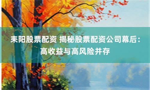 耒阳股票配资 揭秘股票配资公司幕后：高收益与高风险并存