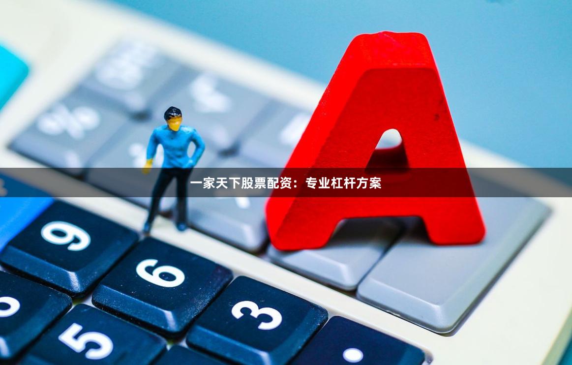 一家天下股票配资：专业杠杆方案