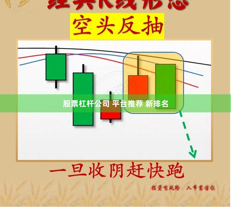 股票杠杆公司 平台推荐 新排名